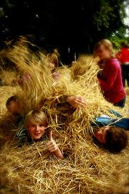 scatteredHay