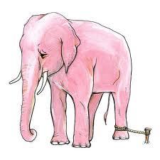 ELEPHANT_STAKE