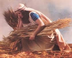 ruthharvest