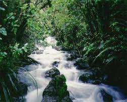 River