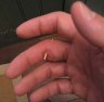 splinter_02